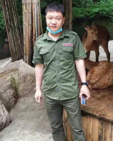 随风如尘